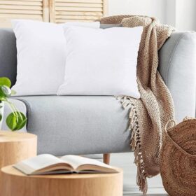 Cushion Filling Pack of 2